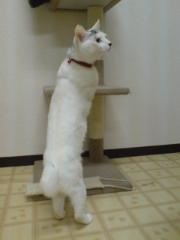 上手に立ってますね♪