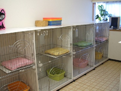 ７部屋あります