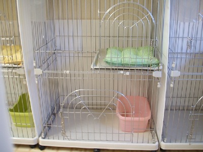 家族同士で別部屋の場合、パーテーションが直ぐ取れるのでお隣同士で淋しくありません